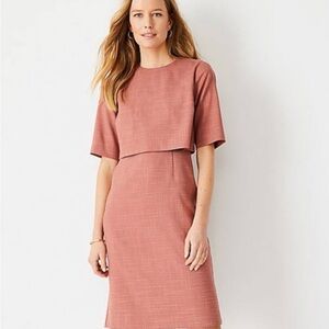 Chic Rust Midi Dress with Short Sleeves